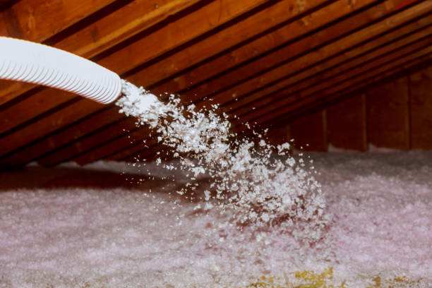 Best Home Insulation Services  in East Speer, NC