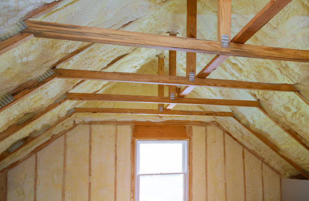 Best Professional Insulation Contractor  in East Speer, NC