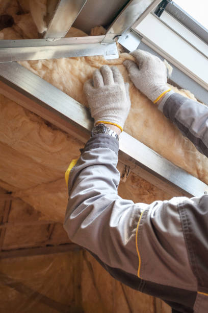 Best Insulation Repair Services  in East Speer, NC