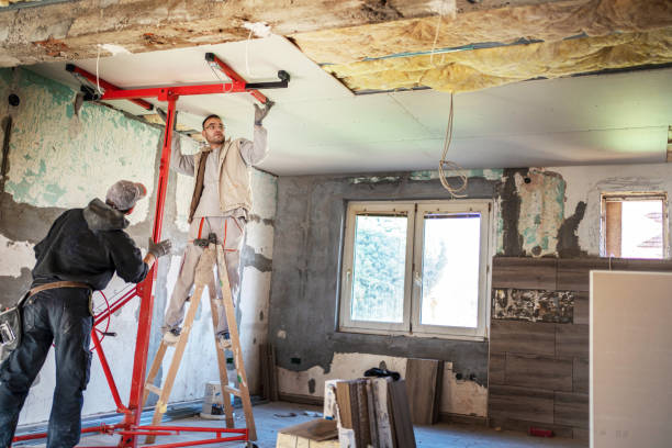 Best Insulation Removal  in East Speer, NC
