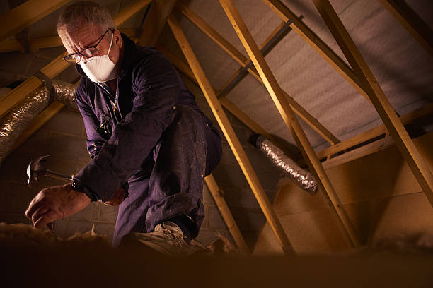 Best Best Insulation Companies  in East Speer, NC